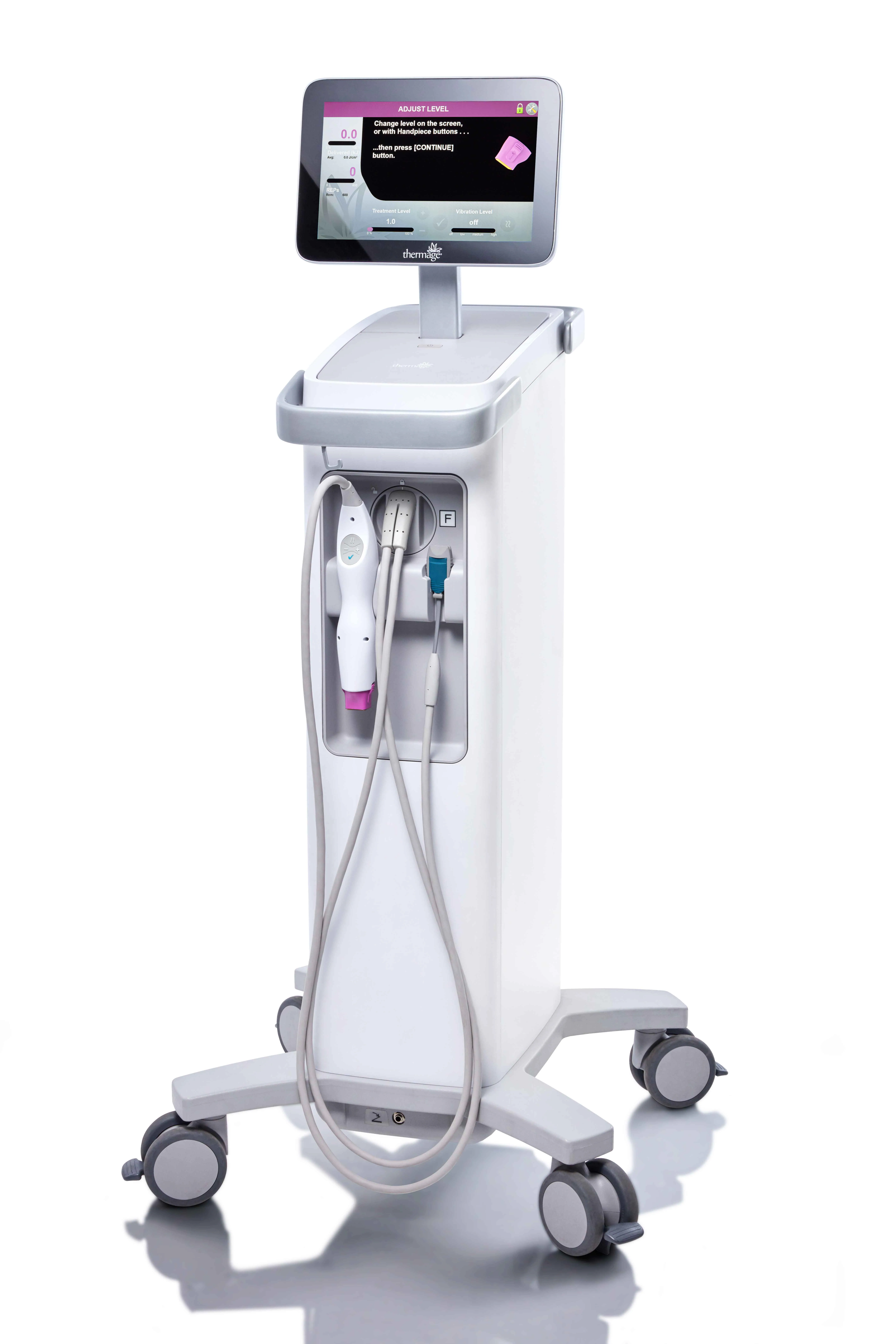 Thermage FLX