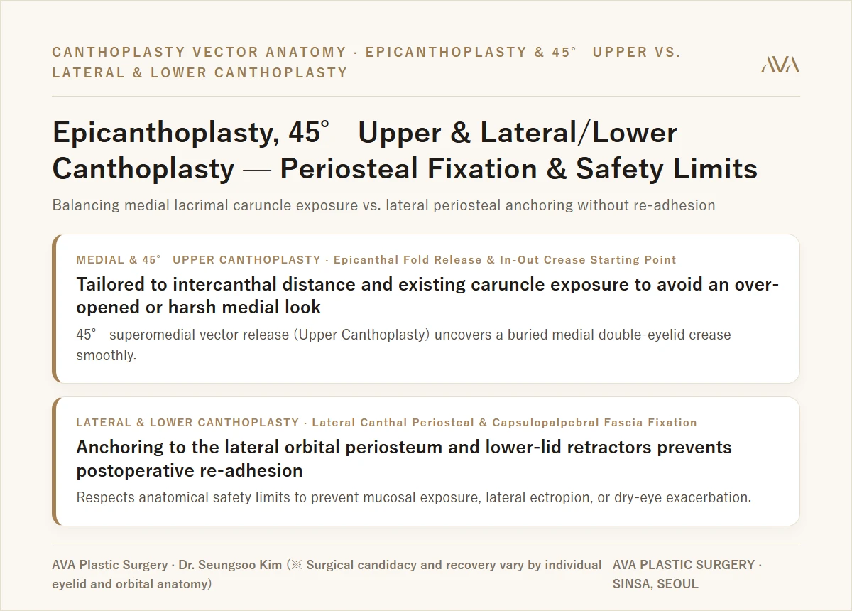 Epicanthoplasty, 45° Upper & Lateral/Lower Canthoplasty Anatomy — Periosteal Fixation & Safety Limits by Dr. Seungsoo Kim