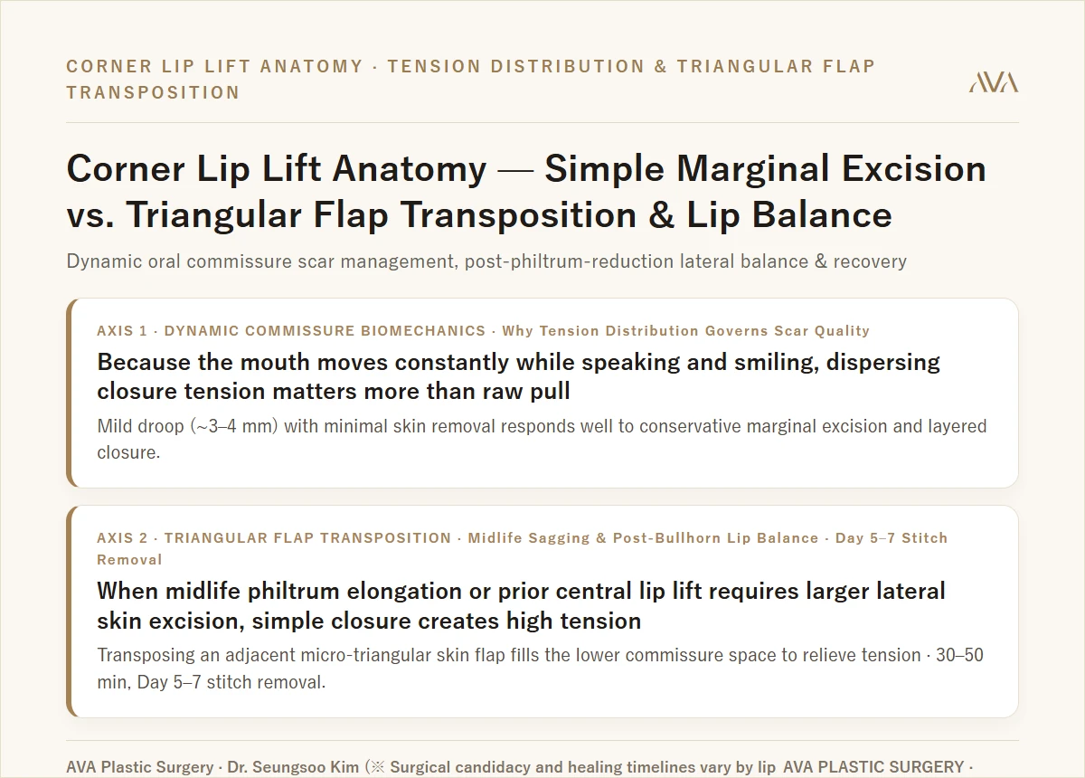 Corner Lip Lift Anatomy — Commissure Tension Distribution, Triangular Flap Transposition, and Lateral Philtrum Balance Summary Card