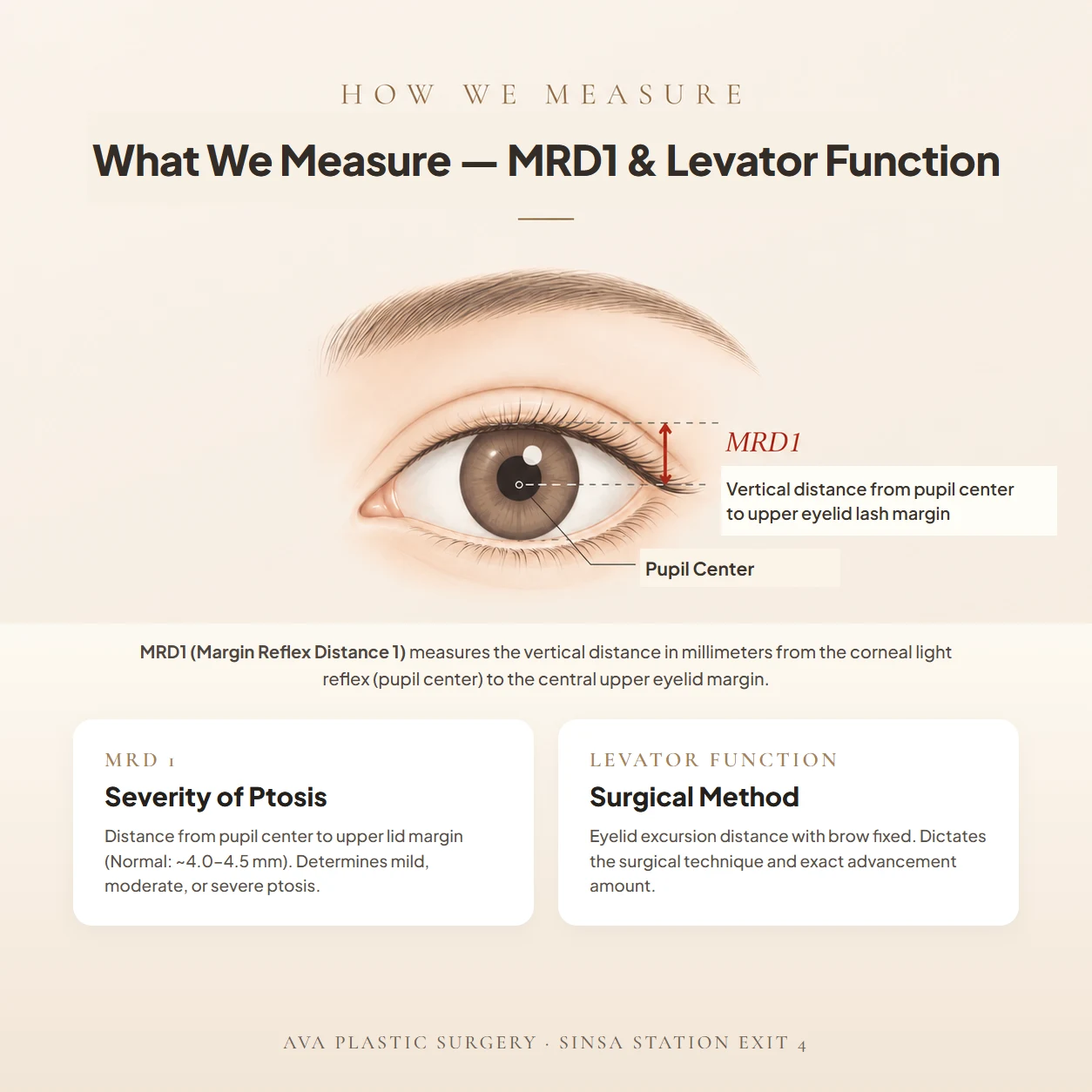 What We Measure — MRD1 and Levator Function Diagram