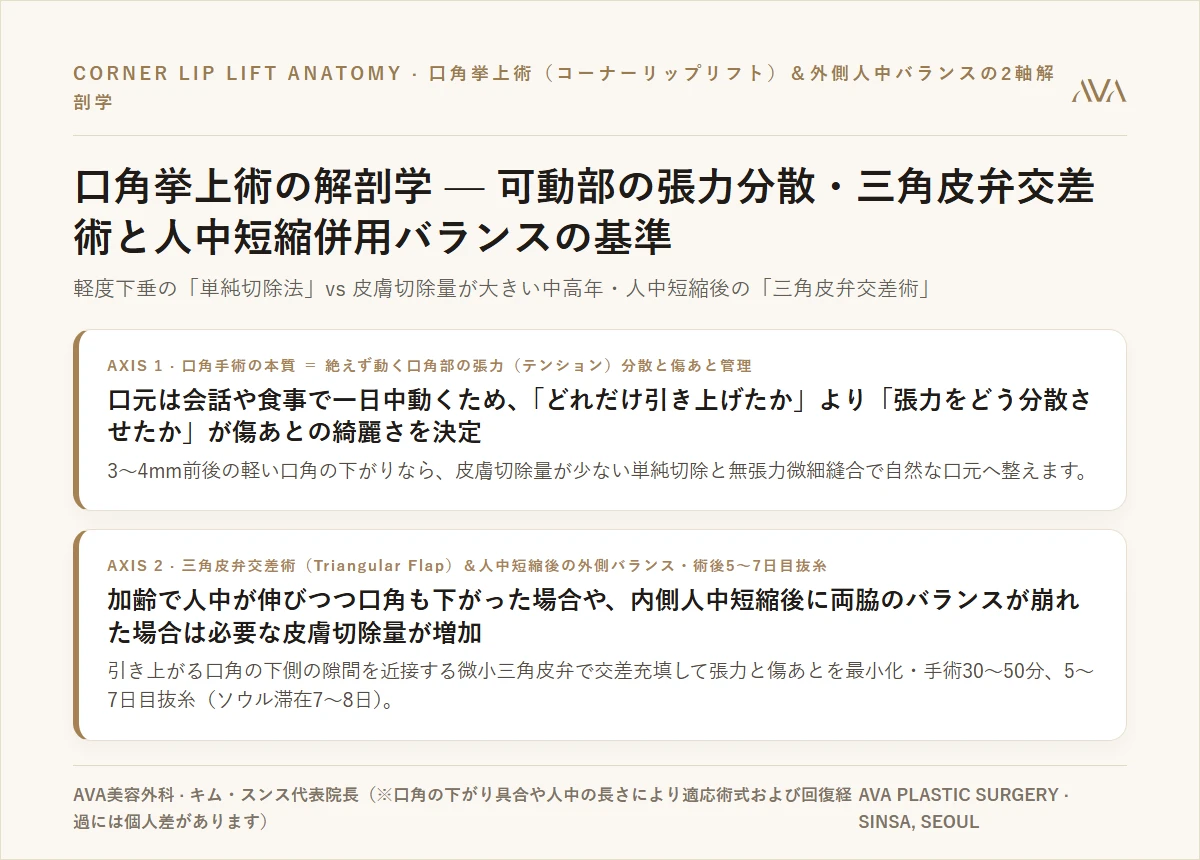 口角挙上術（リップリフト）の解剖学 — 動く口角の張力分散、単純切除 vs 三角皮弁交差術と人中短縮の併用バランス