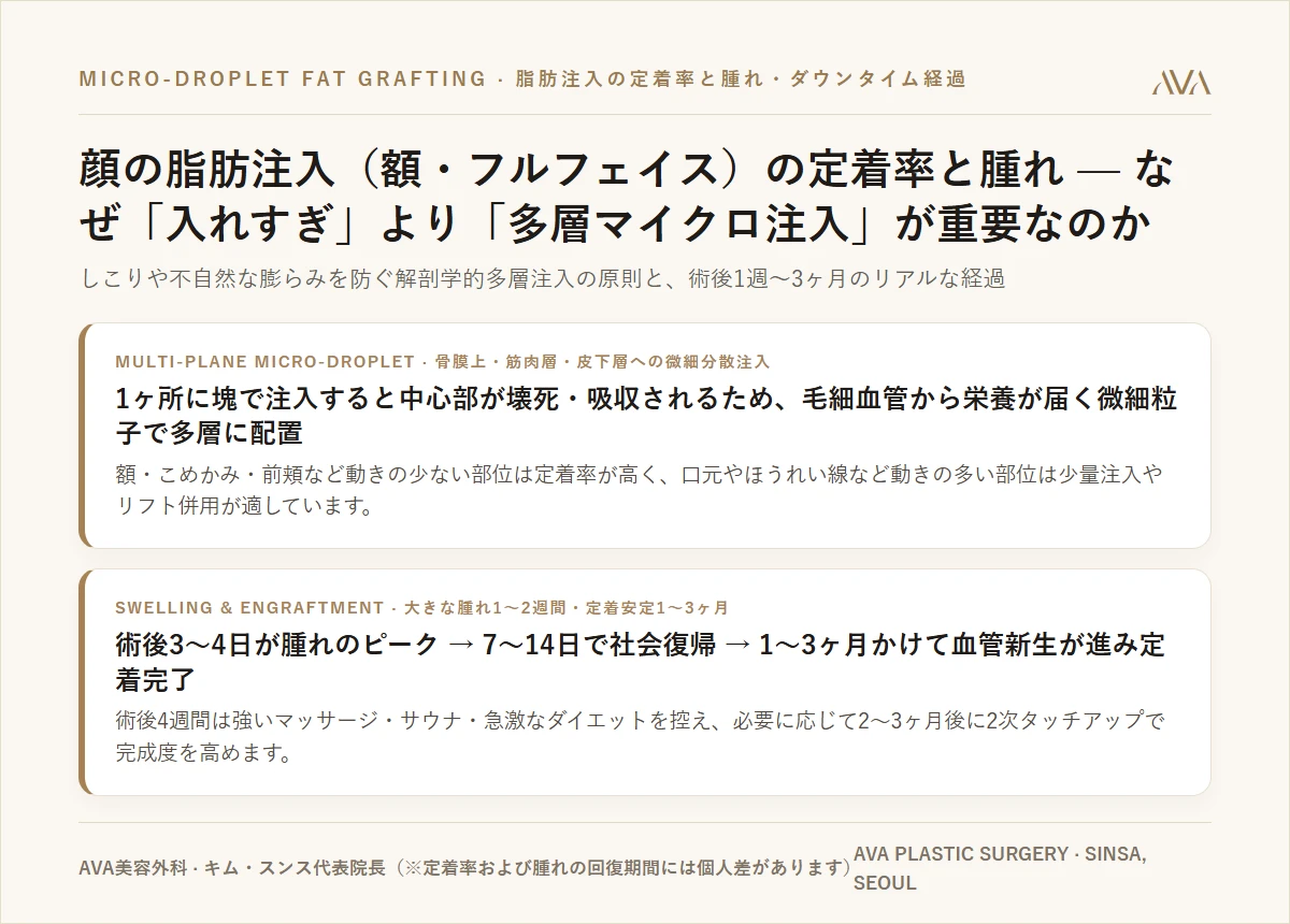顔の脂肪注入（額・フルフェイス）の定着率と腫れ経過 — なぜ「入れすぎ」より「多層マイクロ注入」が重要なのか