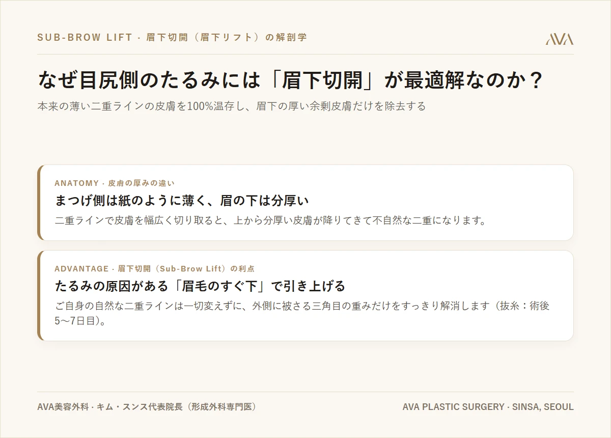 なぜ目元は「外側（目尻側）」から先に垂れてくるのか？ — 三角目と眉下切開（眉下リフト）の解剖学