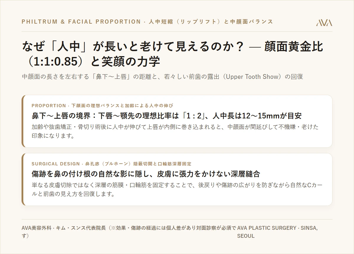 なぜ「人中」が長いと老けて見えるのか？ — 顔面黄金比（1:1:0.85）と人中短縮術の解剖学