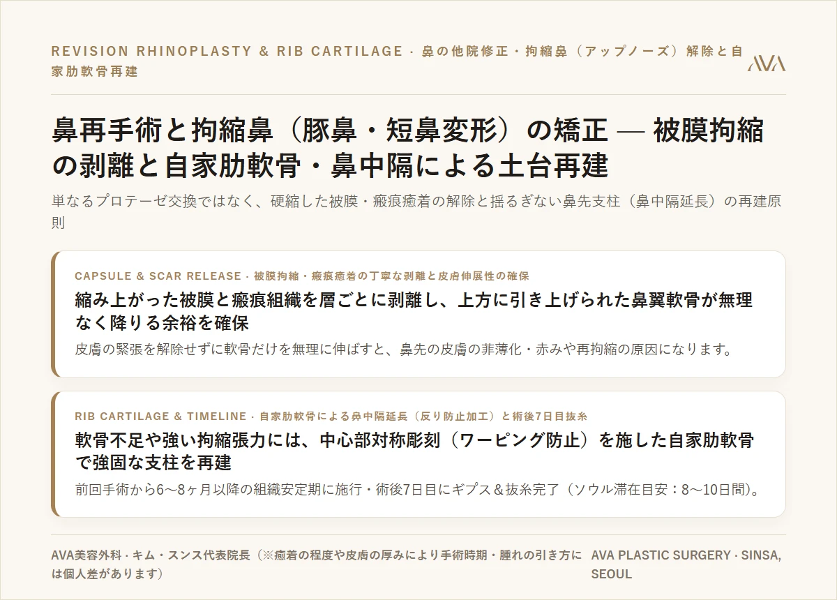 鼻他院修正・拘縮鼻（アップノーズ）再建の解剖学 — 瘢痕カプセル剥離と自家肋軟骨・鼻中隔延長の基準