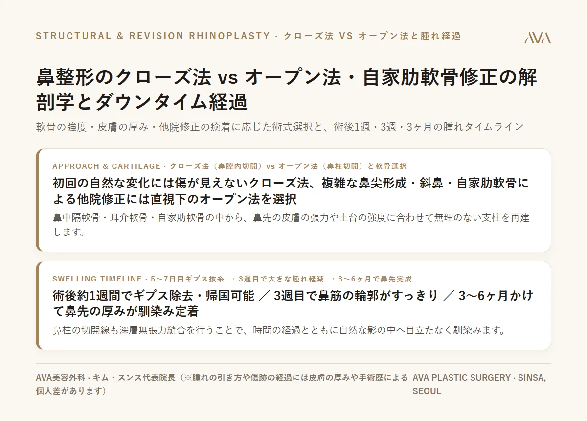鼻整形のクローズ法 vs オープン法・自家肋軟骨修正の解剖学 — 鼻先の土台選びと週単位の腫れ経過