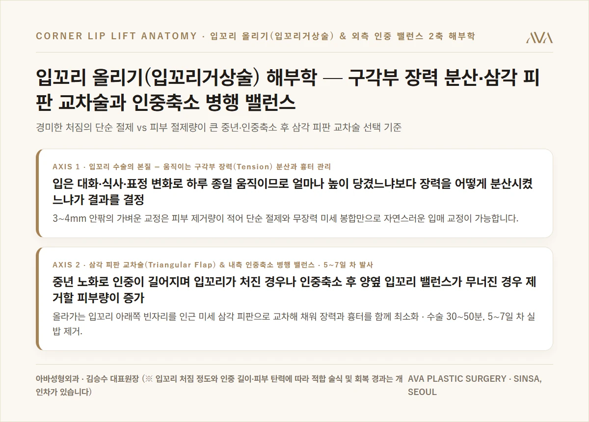입꼬리 올리기(입꼬리거상술) 해부학 — 구각부 장력 분산·삼각 피판 교차술과 인중축소 병행 밸런스 요약 카드