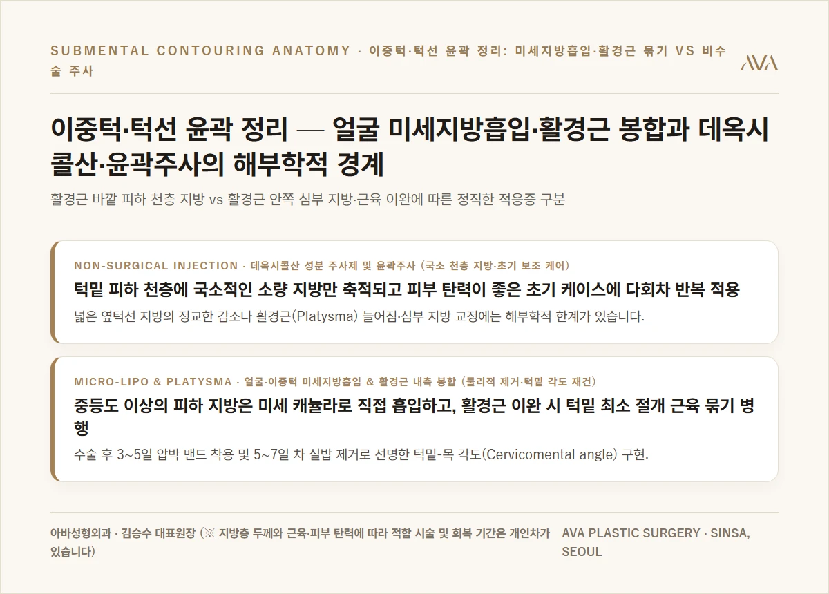 이중턱·턱선 윤곽 정리 — 얼굴 미세지방흡입·활경근 봉합과 데옥시콜산·윤곽주사의 해부학적 경계 요약 카드