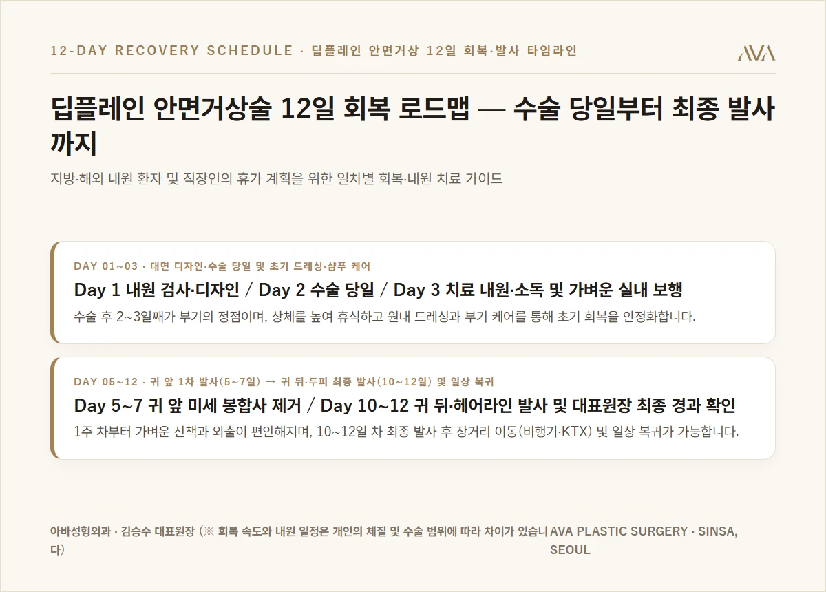 딥플레인 안면거상술 12일 회복 및 단계별 발사 로드맵 요약 카드