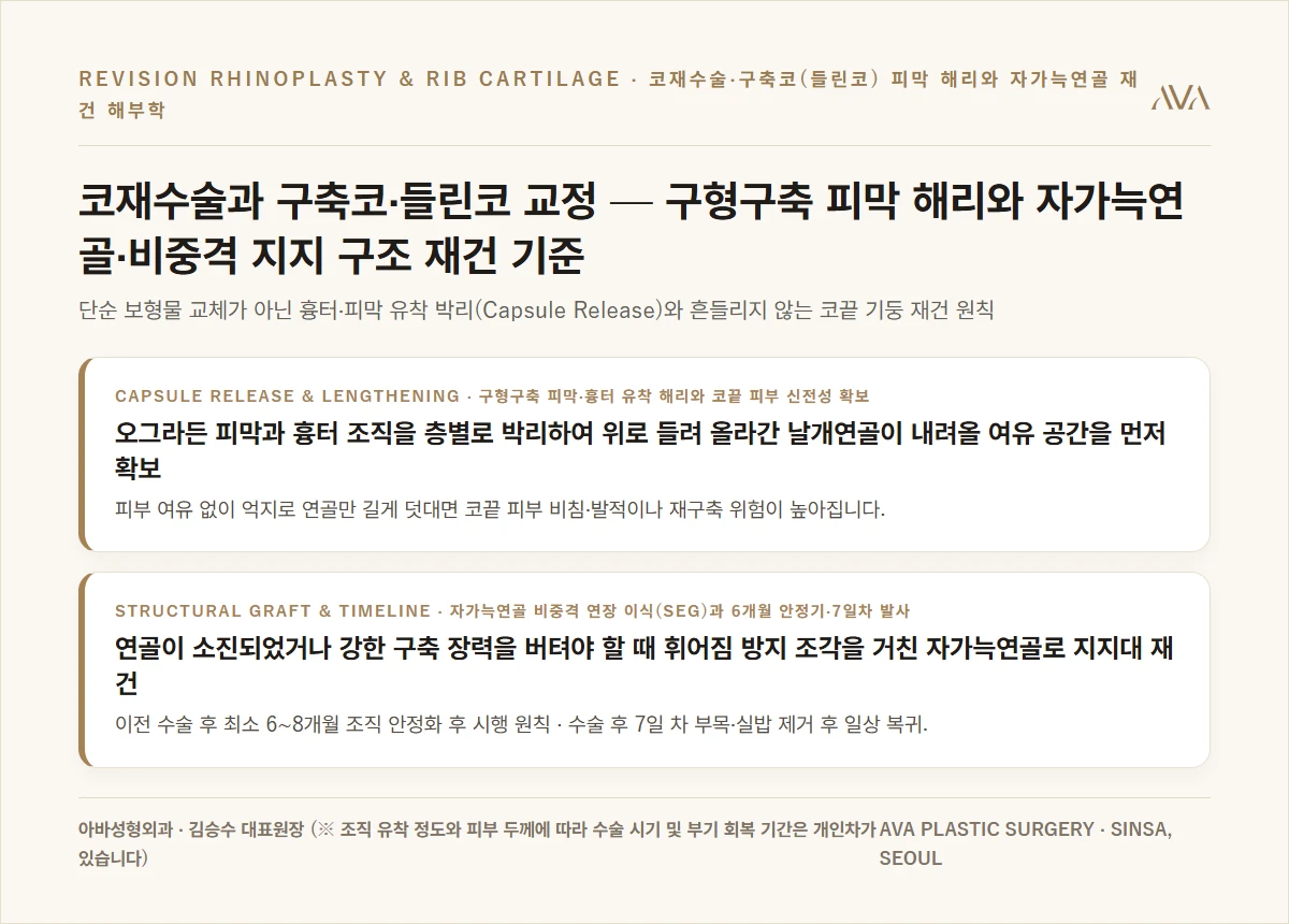 코재수술과 구축코·들린코 교정 — 피막 해리 및 자가늑연골 지지 구조 재건 요약 카드