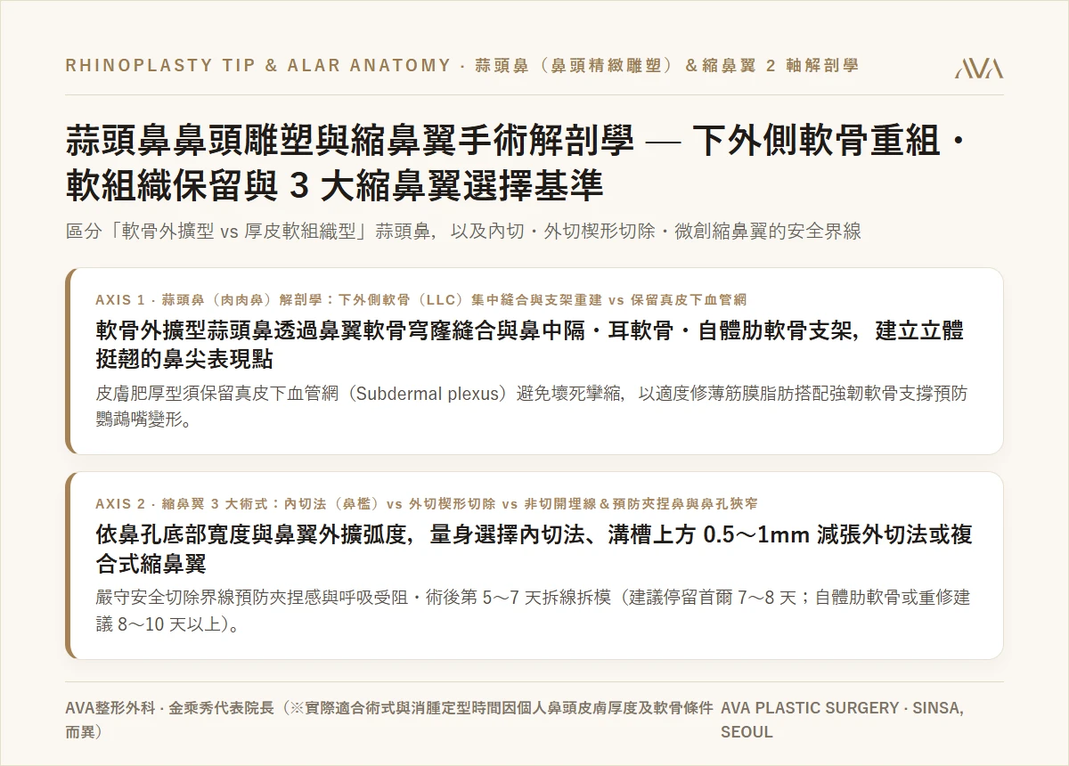 蒜頭鼻鼻頭雕塑與縮鼻翼手術解剖學 — 下外側軟骨重組・軟組織保留與內切・外切・非切開縮鼻翼的選擇基準
