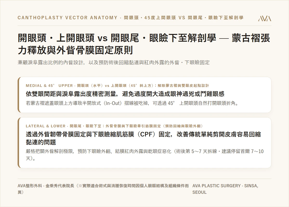 開眼頭・45°上開眼頭 vs 開眼尾・眼尾下置的解剖學 — 蒙古摺釋放與外眥骨膜・筋膜固定的安全界線