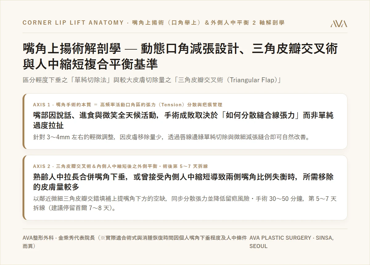 嘴角上揚術（微笑唇手術）解剖學 — 動態口角張力分散、單純切除 vs 三角皮瓣交錯術與縮人中合併平衡