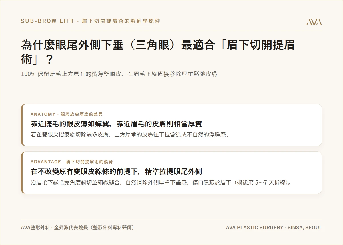 為什麼眼睛總是從「外側（眼尾）」開始下垂？ — 三角眼與眉下切開提眉術的解剖學原理